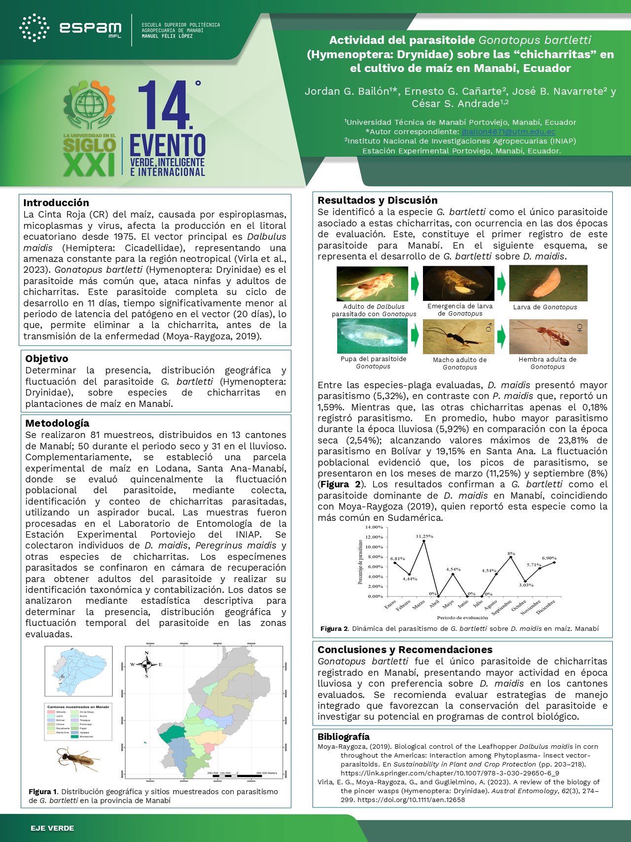 Foto Actividad del parasitoide Gonatopus bartletti (Hymenoptera: Drynidae) sobre las “chicharritas” en el cultivo de maíz en Manabí, Ecuador