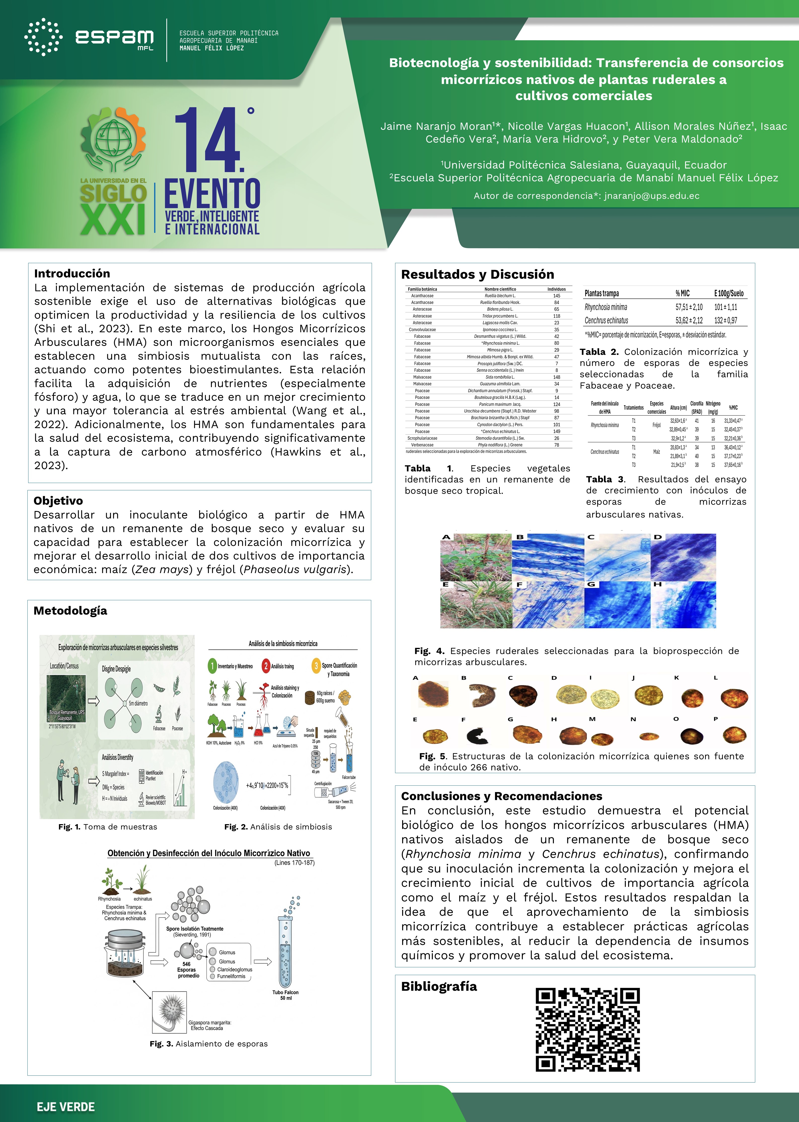 Foto Biotecnología y sostenibilidad: transferencia de consorcios micorrízicos nativos de plantas ruderales a cultivos comerciales