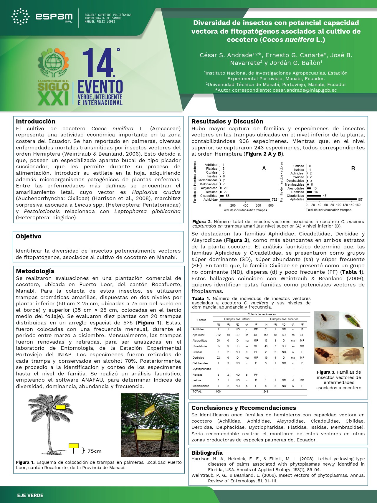 Foto Diversidad de insectos con potencial capacidad vectora de fitopatógenos asociados al cultivo de cocotero (Cocos nucifera L.)
