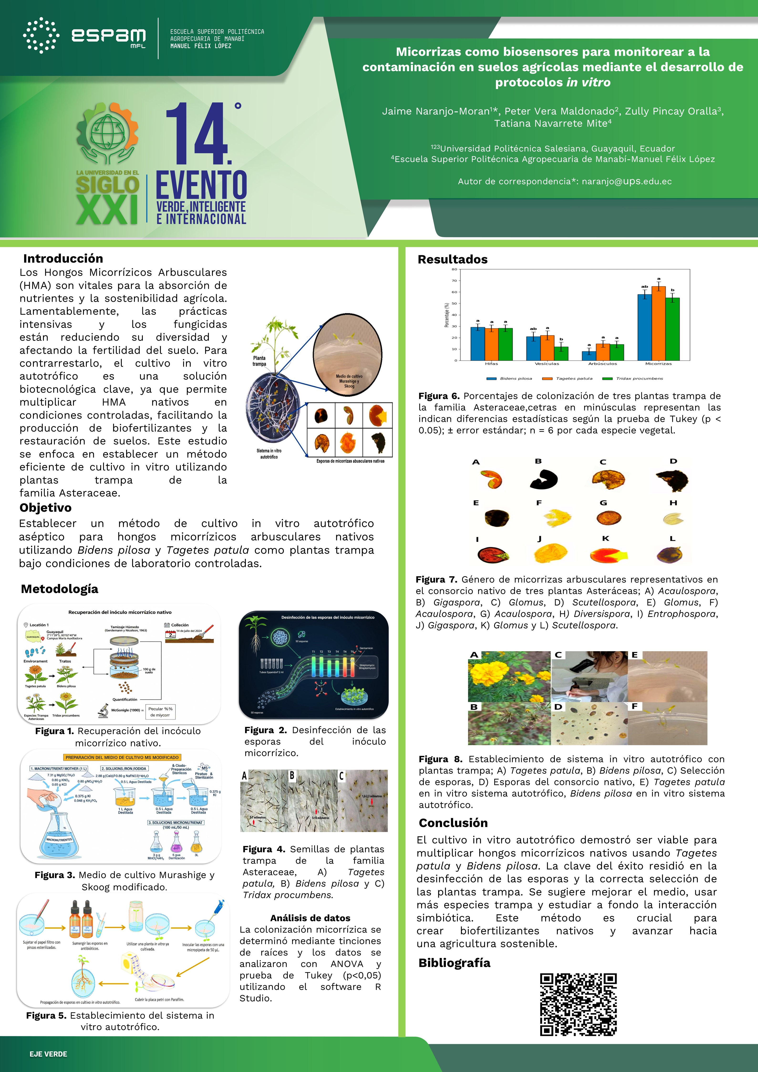Foto Micorrizas nativas como biosensores para monitorear la contaminación en suelos agrícolas mediante el desarrollo de protocolos in vitro