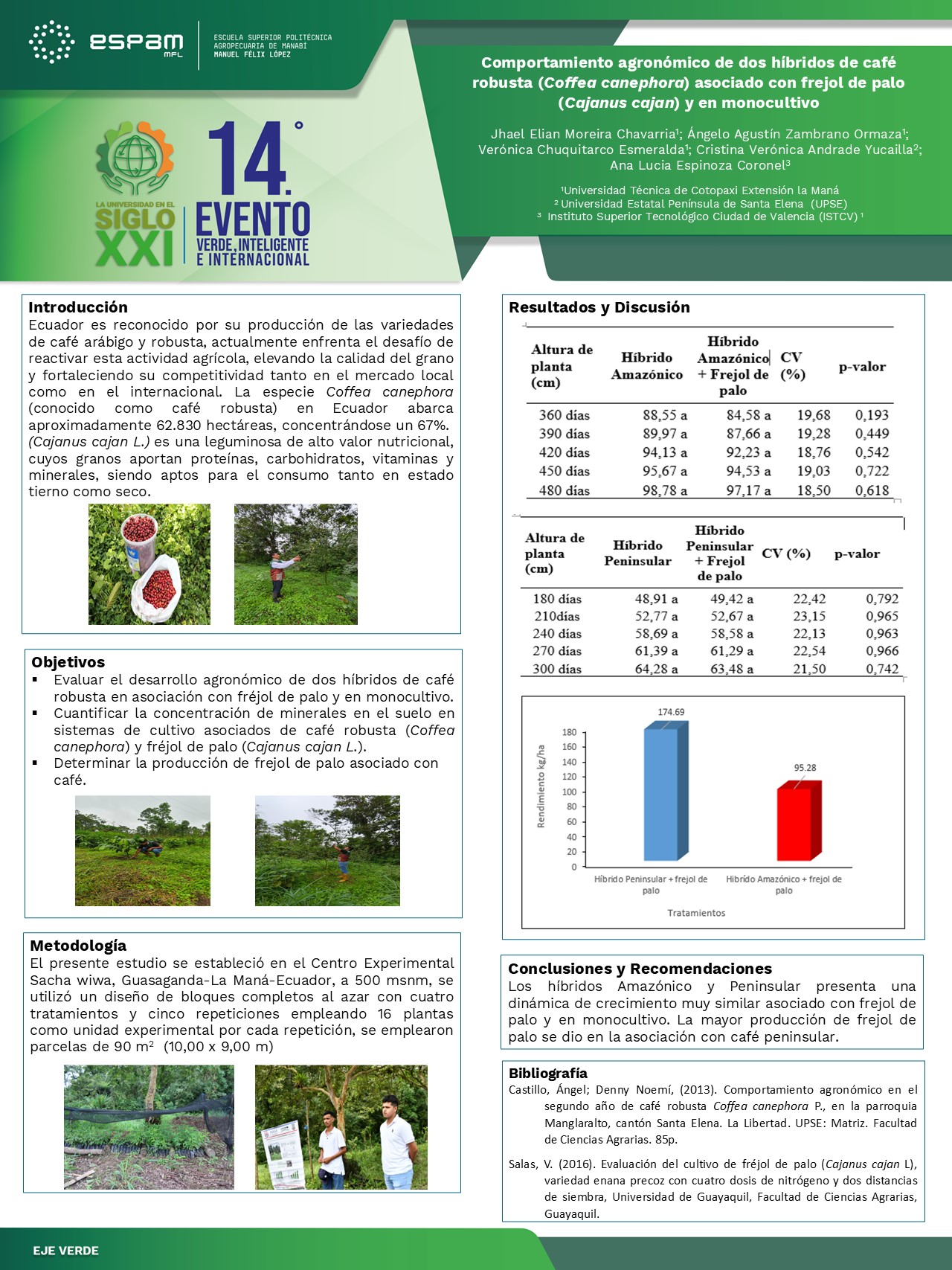 Foto Comportamiento agronómico de dos híbridos de café robusta(Coffea canephora) asociado con frijol de palo (Cajanus cajan) y en monocultivo
