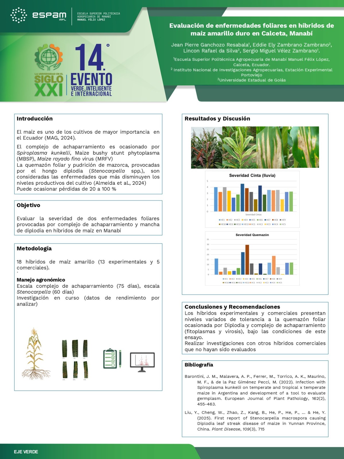 Foto Evaluación de enfermedades foliares en híbridos de maíz amarillo duro en Calceta, Manabí